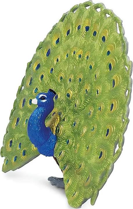 Actual product image Safari Peacock