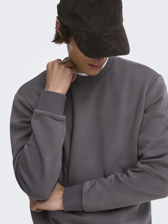 Actual product image Only & Sons Onsceres Crew Neck Noos (S)