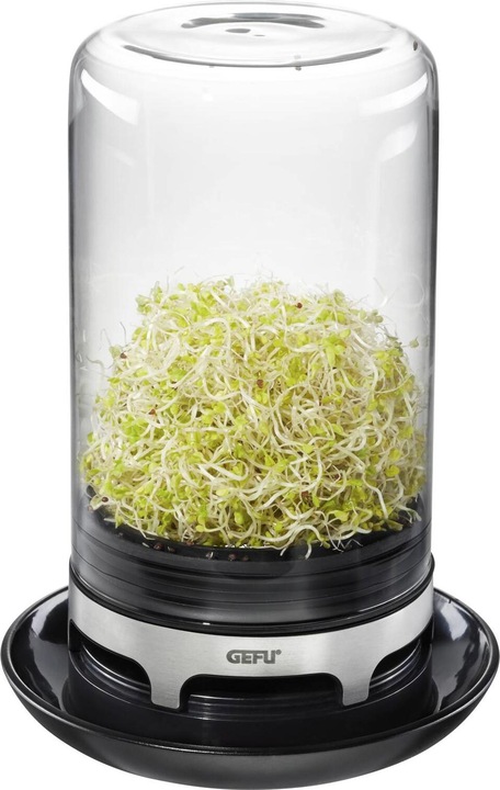 Actual product image GEFU Bivita rung glass