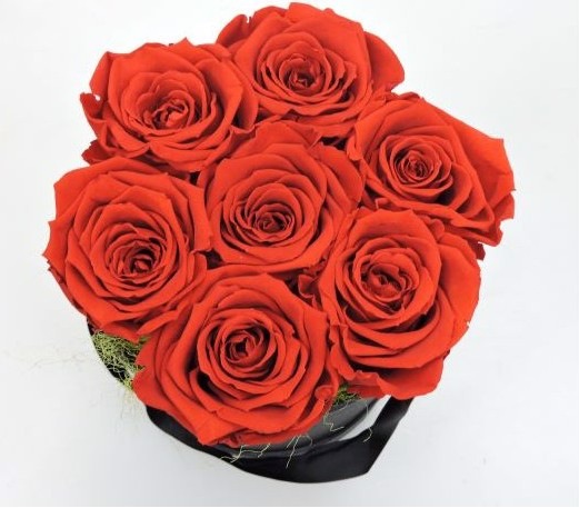 Image du produit Myflower Rosenbox deluxe (Roses stabilisées) (Fleurs à l'infini)