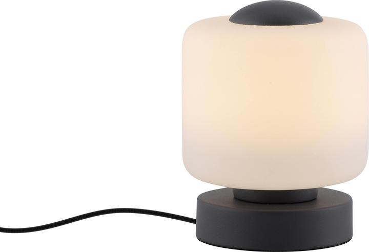 Immagine prodotto Paul Neuhaus Bota (580 lm)