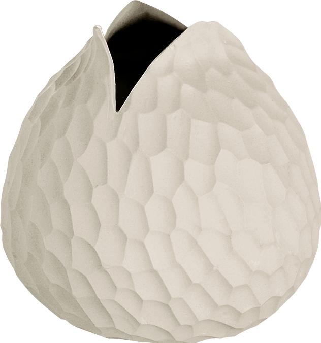 Image du produit ASA Selection nature (1x)