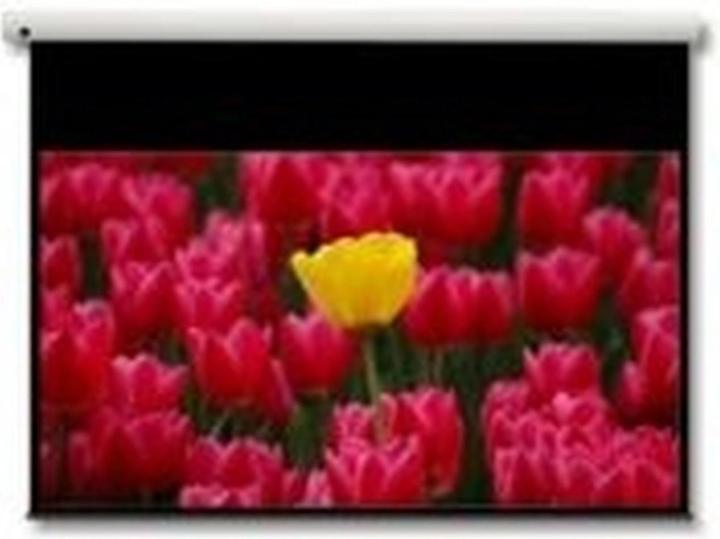 Optoma De-9106ega (106", 16:9)