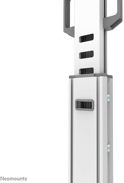 Image du produit Neomounts Chariot TV FL50S-825WH1 Blanc (70 kg, 37" - 75")