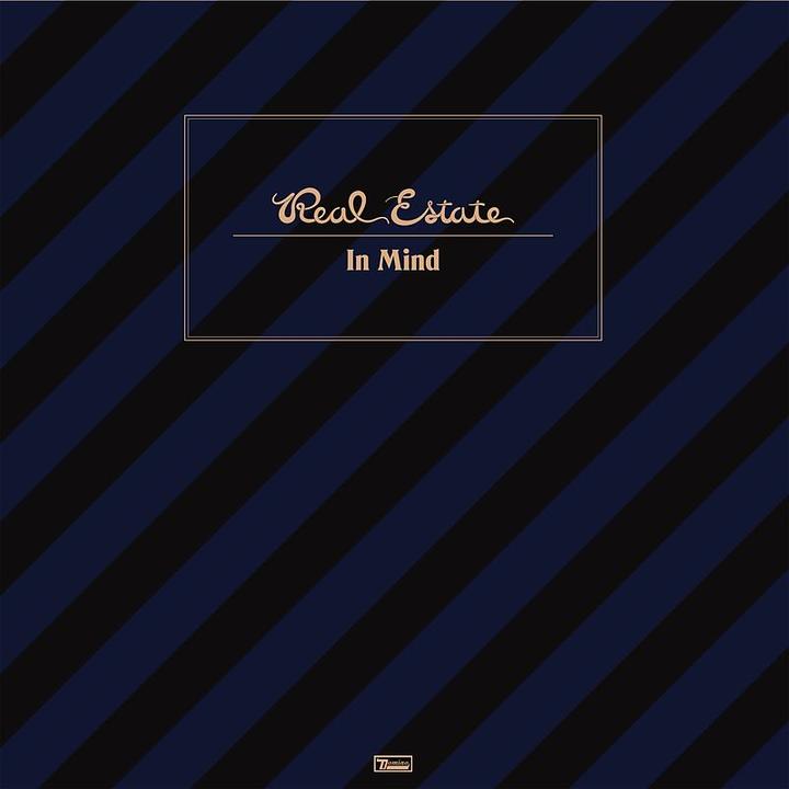 Immagine prodotto In Mind (Lp+Mp3) (Vinile) (Immobili)