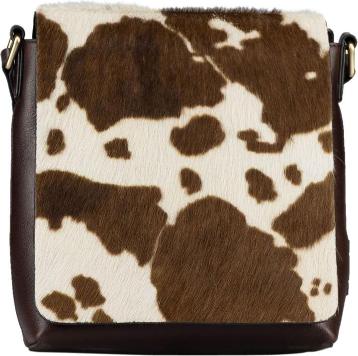 Beige, Brown, Marrone, Marrone scuro