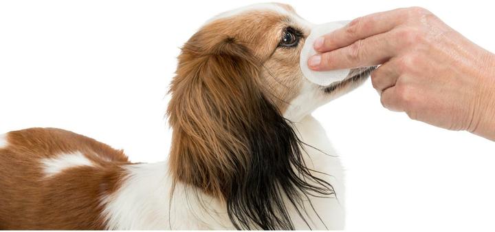 Produktbild Trixie Einweg-Pads (Katze, Hund)