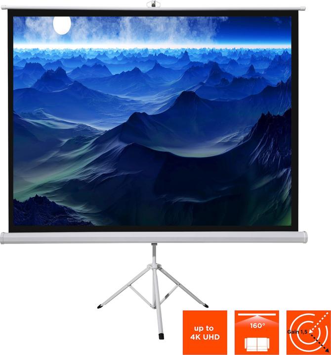 Celexon Basic mobile projector stand screen can be assembled/disassembled in just a few minutes - ideal for (200", 1:1)