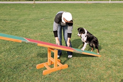 Produktbild Trixie Agility