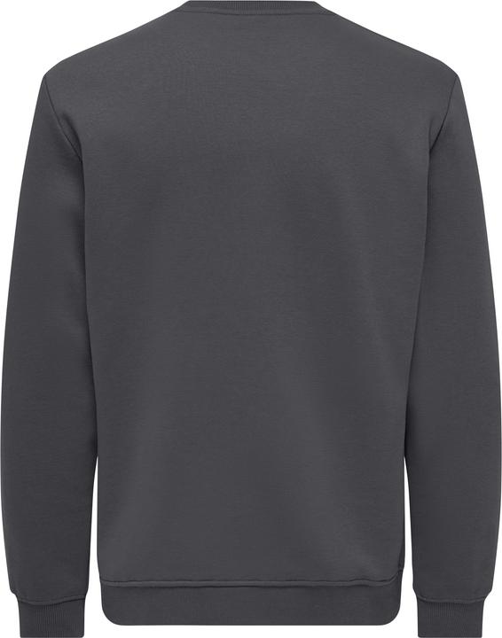 Produktbild Only & Sons Onsconnor Reg Crew Neck Sweat Noos (XS)