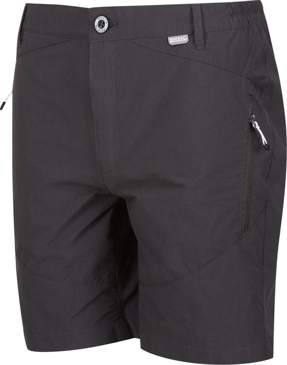 Actual product image Regatta Mens Highton Walking Shorts (44)