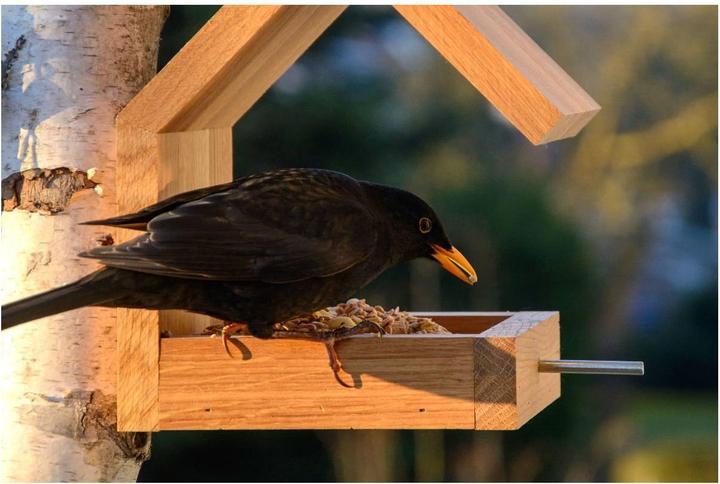 Produktbild Dobar Bauhaus III