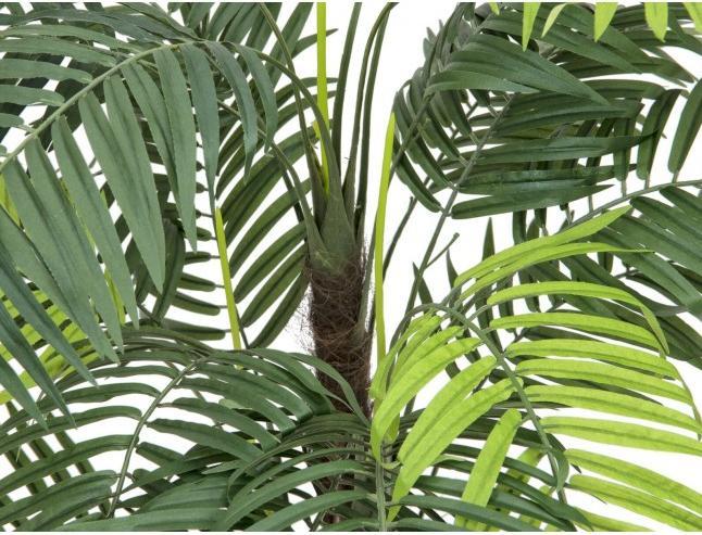 Produktbild Europalms Areca Palme (110 cm)