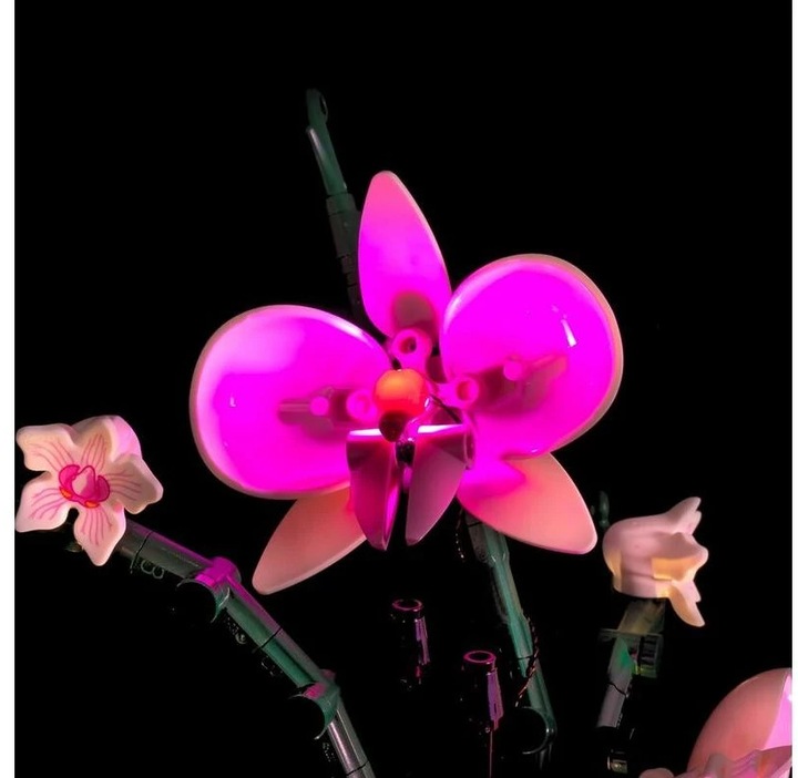 Actual product image Light my bricks LEGO Orchid # 10311 Light Kit