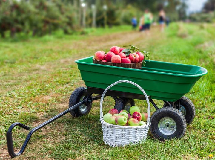 Produktbild Wiltec Gartenwagen Kippfunktion 200kg Handwagen 50l Bollerwagen Transportwagen