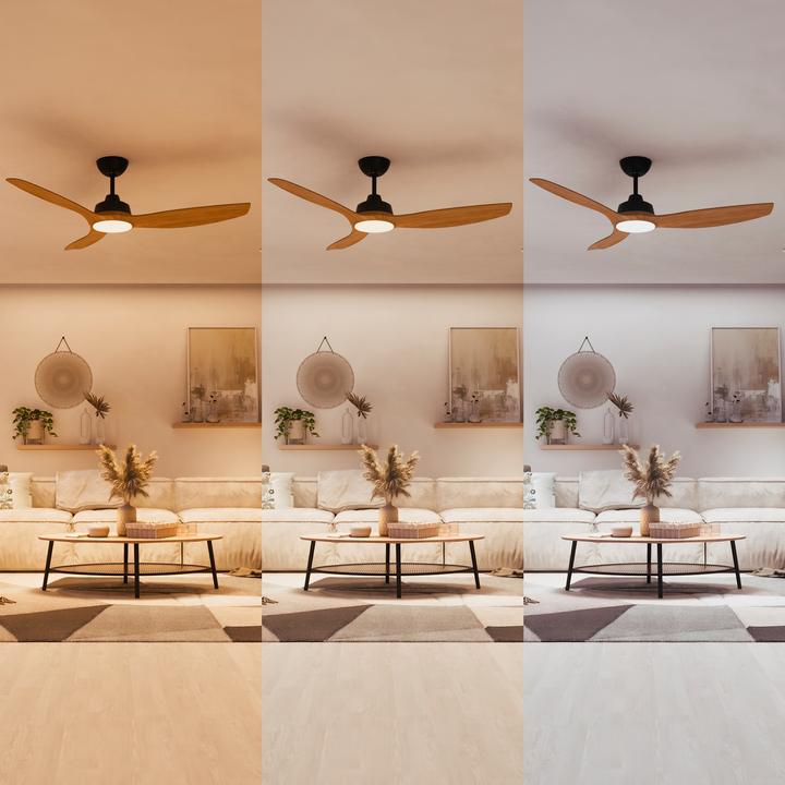 Immagine prodotto Philips Olas