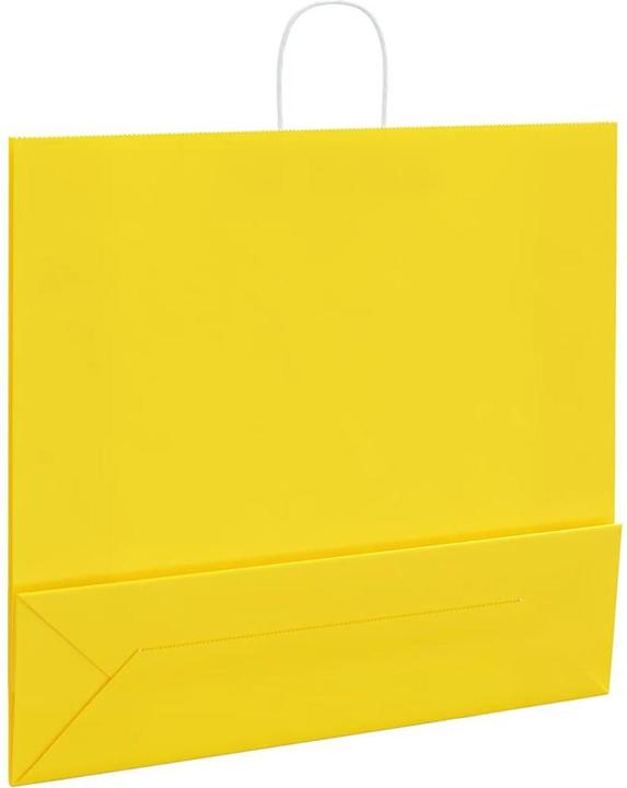 Image du produit VidaXL Petrona (Pochette cadeau, 250 x)