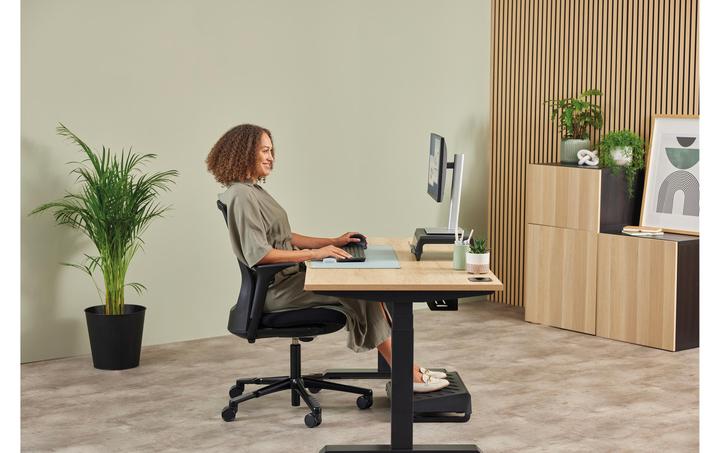 Actual product image Fellowes Breyta Plus+ Ergonomische Maus (Cable, Wireless)