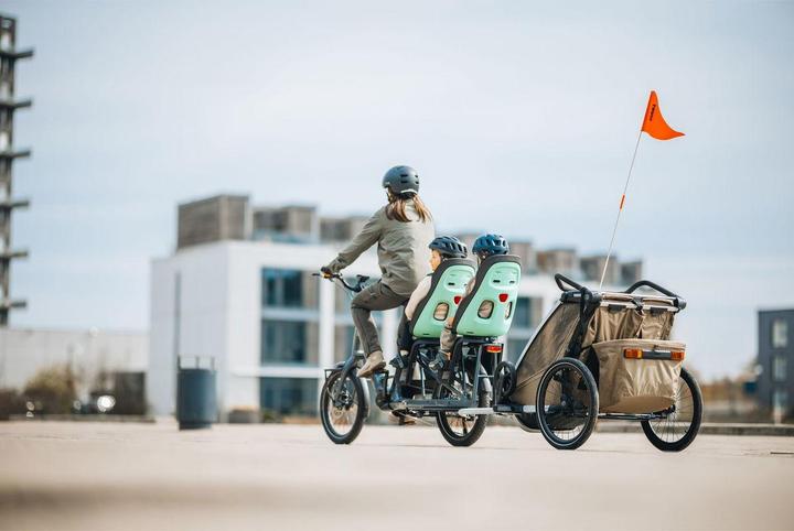 Immagine prodotto Thule Seggiolino per bambini Yepp Nexxt 2 Maxi (GT) (Portapacchi)