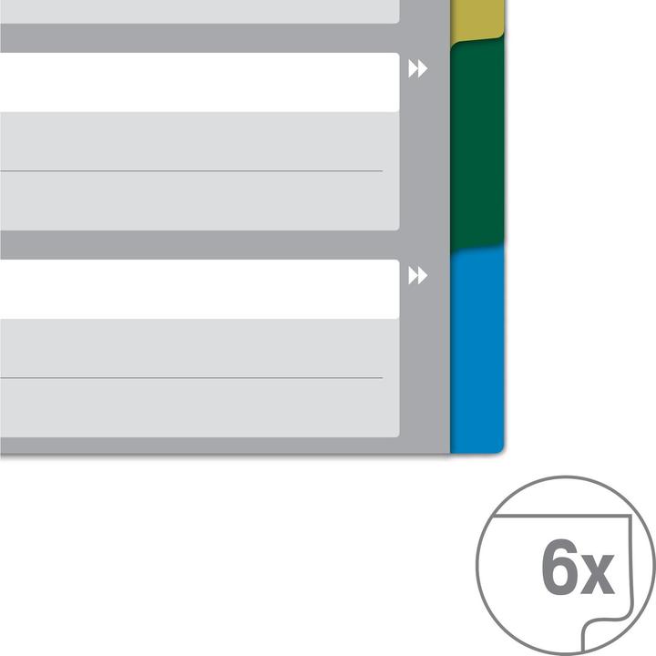 Actual product image von Blank index, A4, 1-5