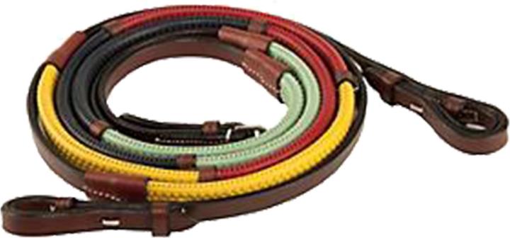 Kincade Rênes arc-en-ciel