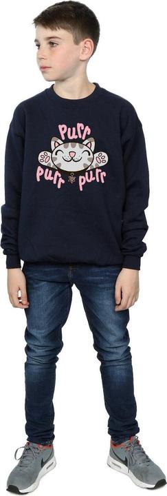 Image du produit Big Bang Theory - Sweat SOFT KITTY PURR - Garçon (128)