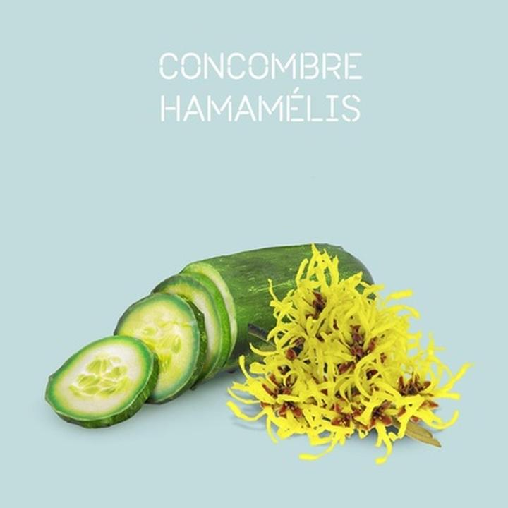 Actual product image Londa Kadus Scalp Detox Pre Shampoo Treatment 150ml (150 ml, Liquid shampoo)