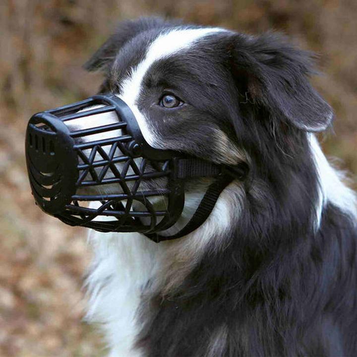 Actual product image Trixie Muzzle (XXL, Dog, Walks)