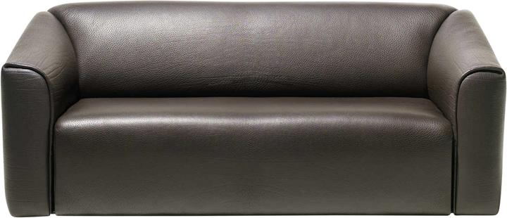 Actual product image De Sede Ds-47/23 Sofa (2 person sofa)