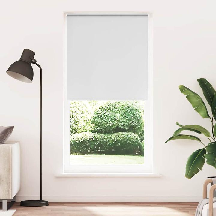 Actual product image vidaXL Verdunkelungsrollo (105 x 210 cm)