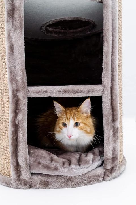 Produktbild Petrebels Superdome (120 cm, Braun)