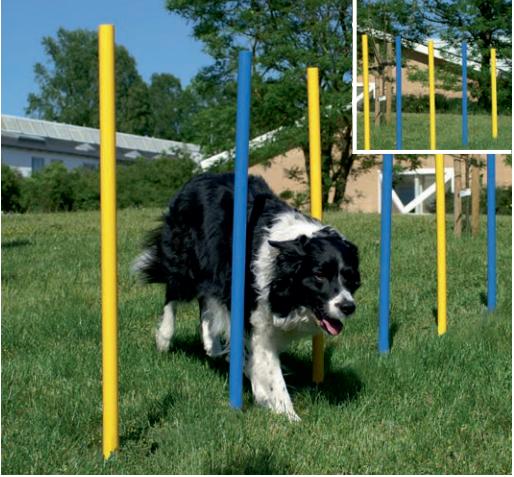 Produktbild Josty Agility Slalom-Stangen (One Size, Agility)