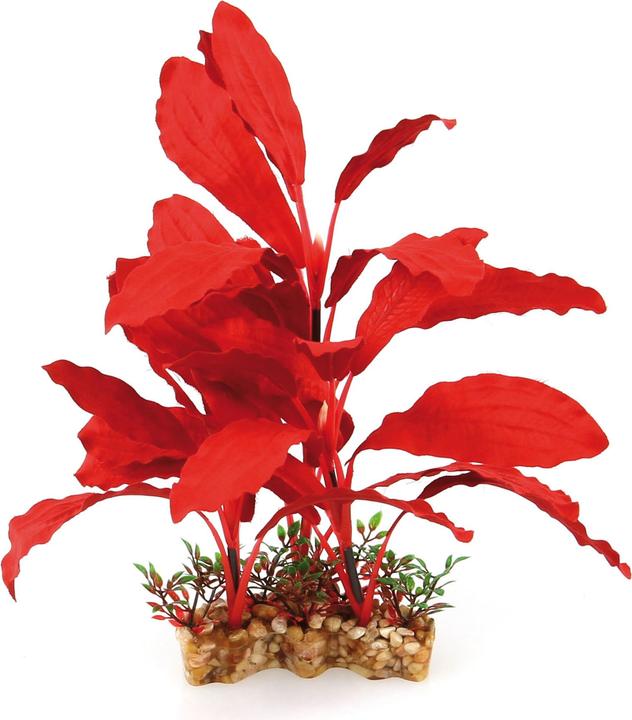 Image du produit Amazonas World Fantasy VSB (Décoration, Plantes)