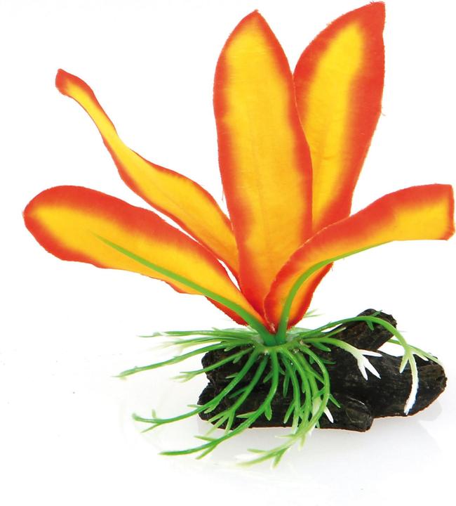 Actual product image Amazonas Fantasy Plant Nano AT (Cave, other items)