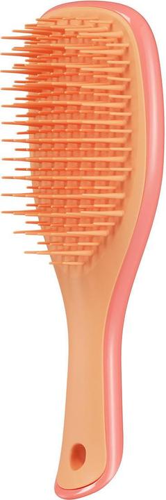 Produktbild Tangle Teezer Wet Detangler Mini