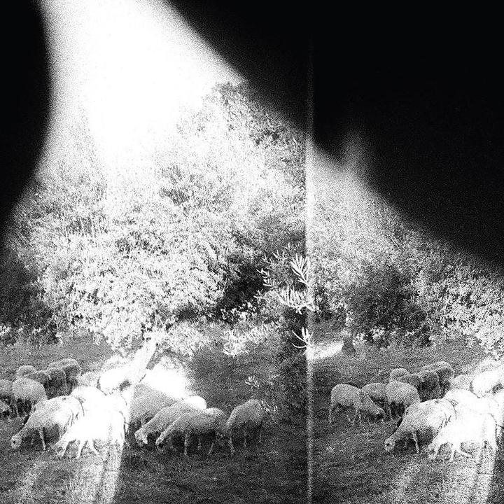 Asunder,Sweet And Other Distress (Vinyl) (Godspeed You! Black Emperor, 2015)