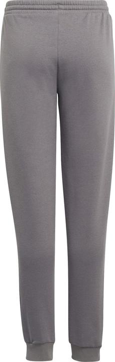 Actual product image adidas Entrada 22 sweatpants kids (152)