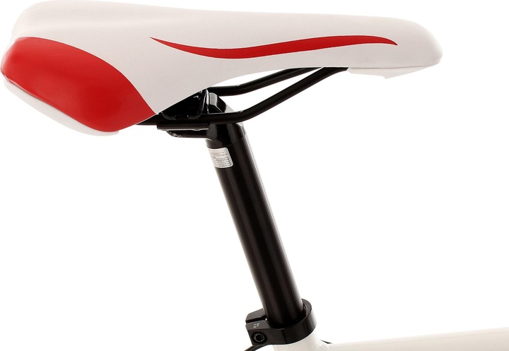Immagine prodotto KS Cycling euforia (58 cm)