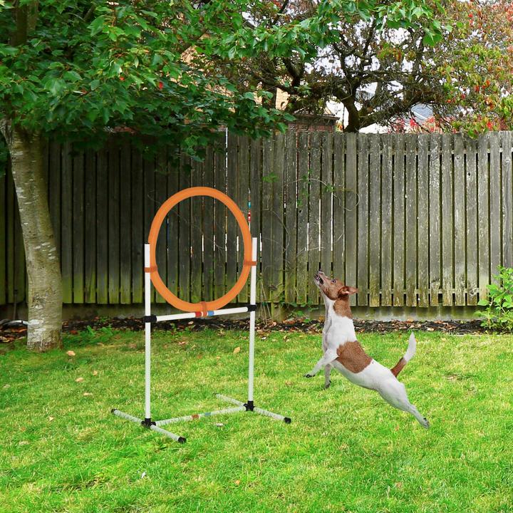 Actual product image PawHut Dog Training Set with Jumping Ring (Agility)