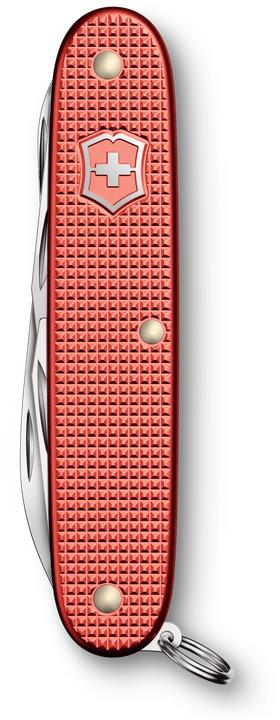 Actual product image Victorinox Pioneer X