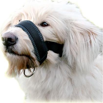 Thumbnail - Trixie Maulschlaufe (XXL, Hund, Hundesport, Jogging, Spazieren), Halsband + Leine
