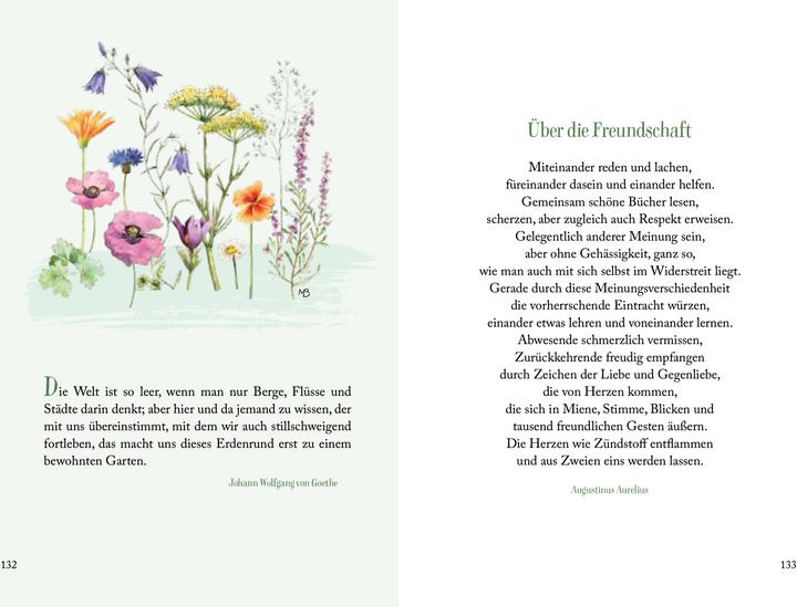 Produktbild Sonnenschein, Freiheit und eine kleine Blume braucht man (Deutsch, Kristina Schaefer, Marjolein Bastin, 2024)