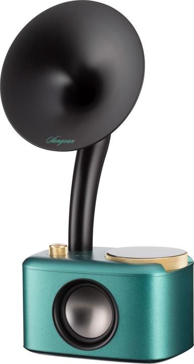 Actual product image Sangean CP 100D (DAB+, Bluetooth)