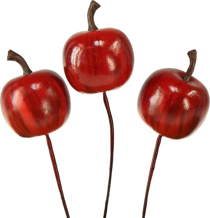 Viana Glänzende Mini-Äpfel am Draht als vielseitige Dekoration für Herbst und Weihnachten