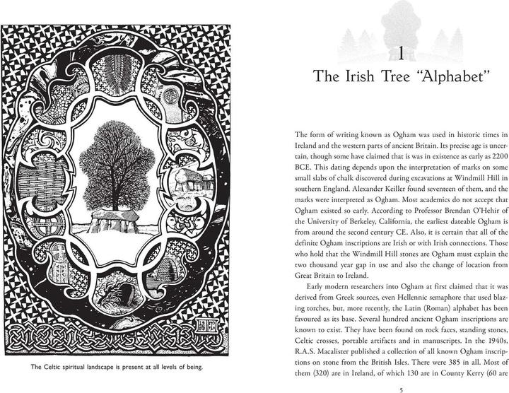 Immagine prodotto Celtic Tree Alphabets (Inglese, Nigel Pennick, 2024)
