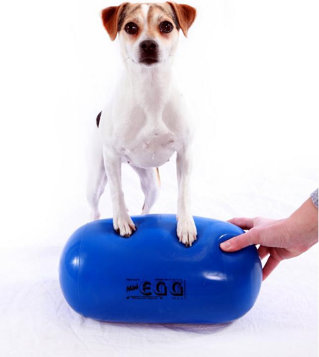 Produktbild FitPaws Egg Mini (18 cm)