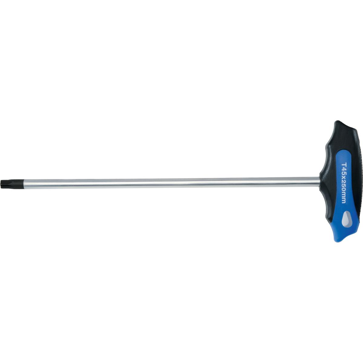 HEYTEC, Schraubenzieher, TORX-Schraubendreher T 40 (Torx (TX))