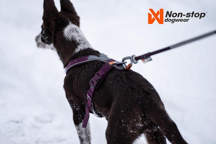 Actual product image Non-Stop Dogwear Line Harness 5.0 Orange 4 (4, Dog, General, Dog sport, Work, Pushbike, Walks)