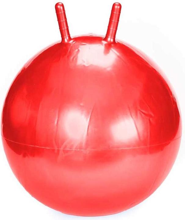 Produktbild Hüpfball 55 cm 1037