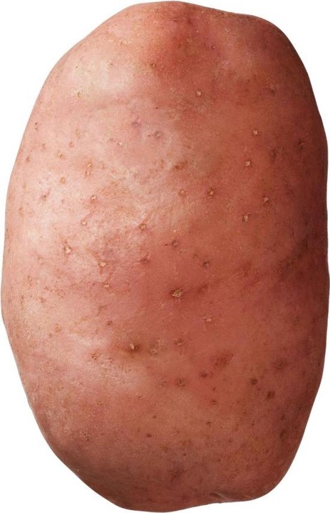 Image du produit Samen Mauser Pomme de terre de semence BIO 'Désirée' 1 kg